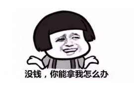 通城贷款清欠服务